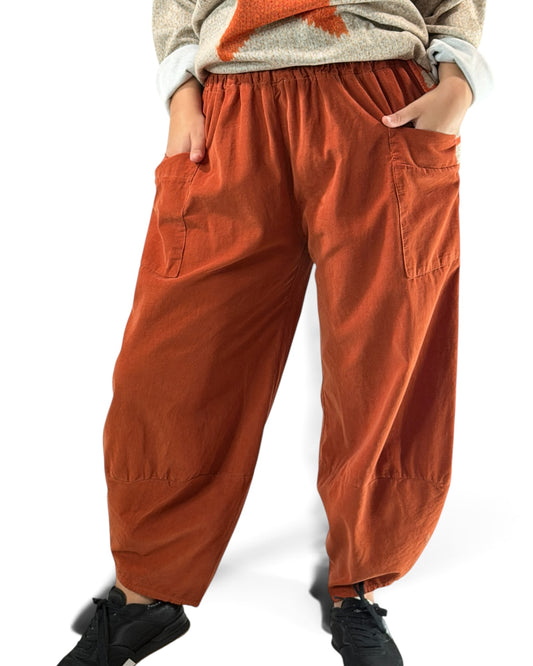 BASTIEN - PANTALON EN VELOURS MILLERAIE ROUX JUSQU'A LA TAILLE 52 (Copie)