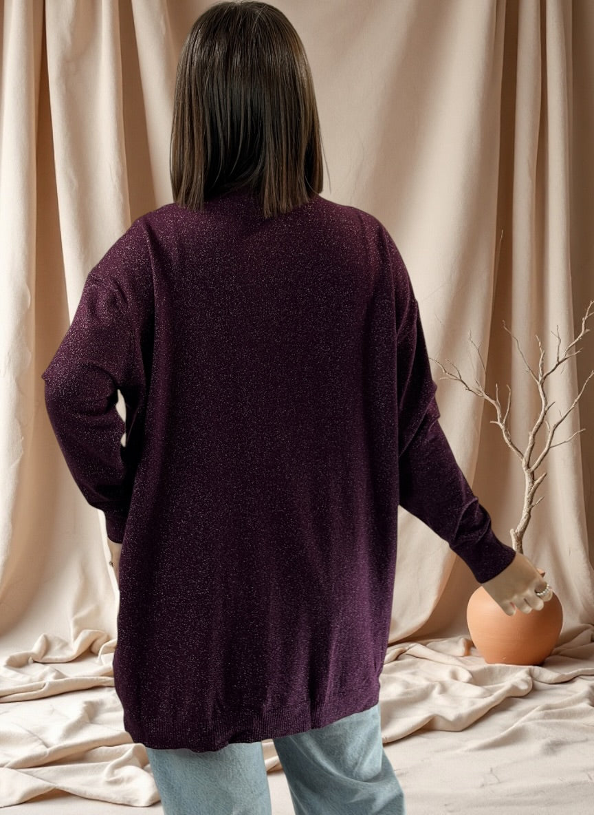 KELLY - PULL RAISIN SCINTILLANT JUSQU'A LA TAILLE 52